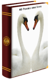 Forty Poems One Love